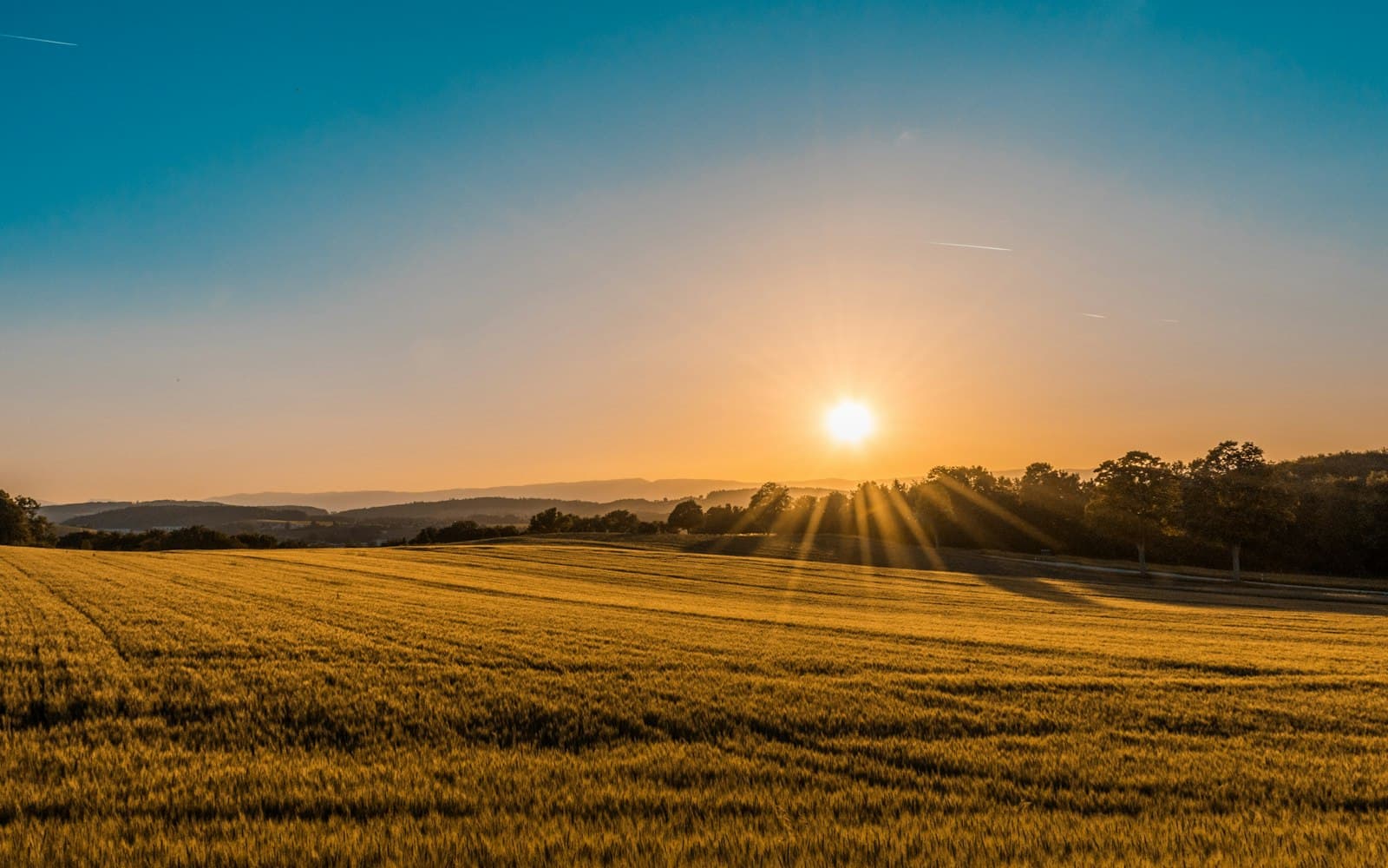 Agriculture